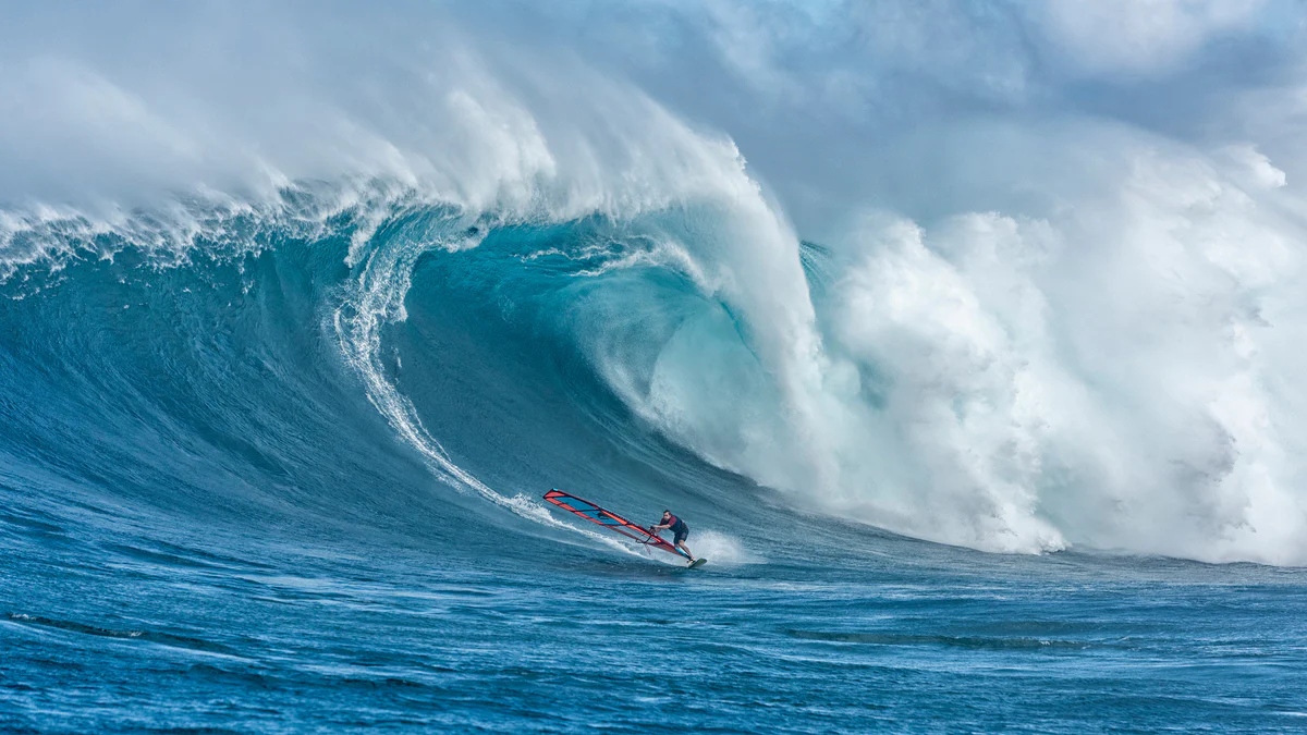 speedster 2024 model sails neilpryde  fast